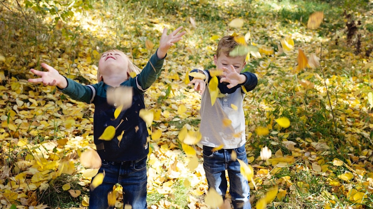 two young boys playing with leaves in the woods